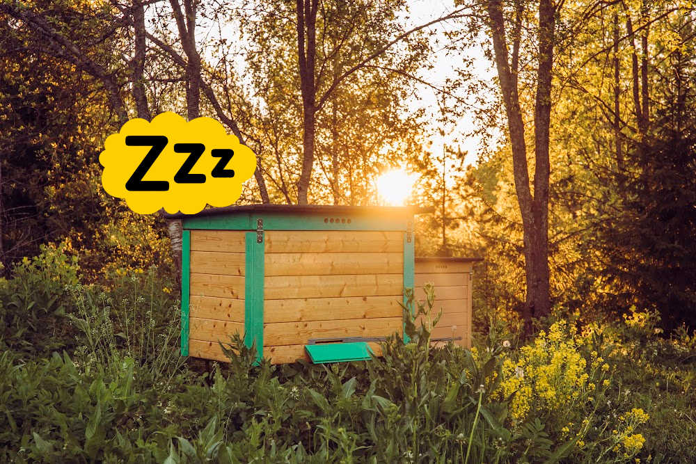 A bee hive with sleeping bees as the sun goes down
