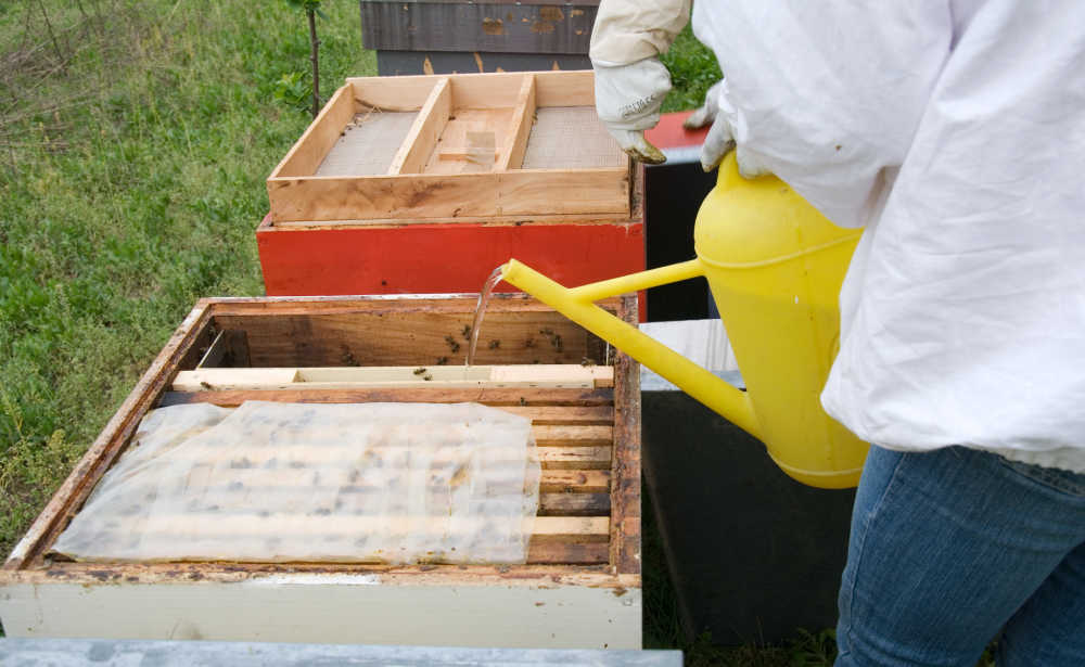 A beekeeper pouring sugar syrup into bee feeders