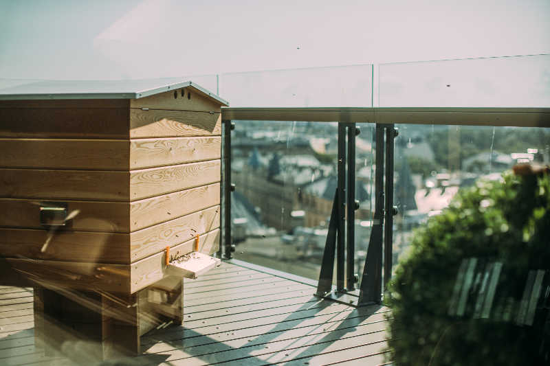 A wooden beehive on the balcony of a city building
