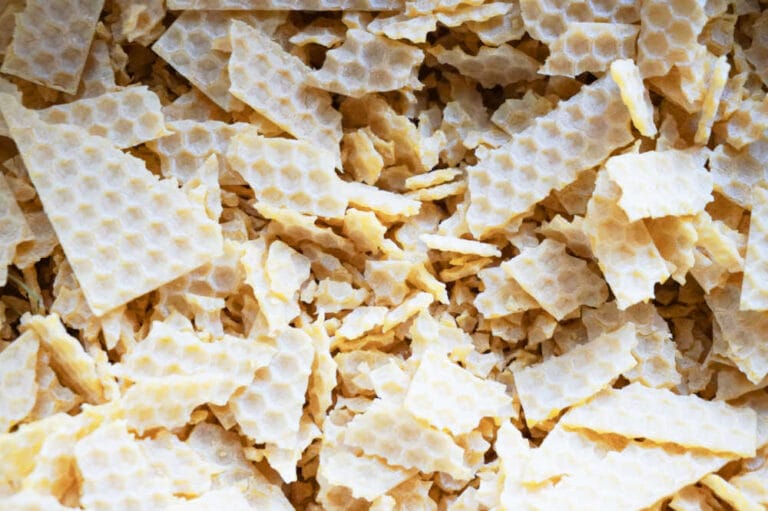 What Is Beeswax? An Essential Guide