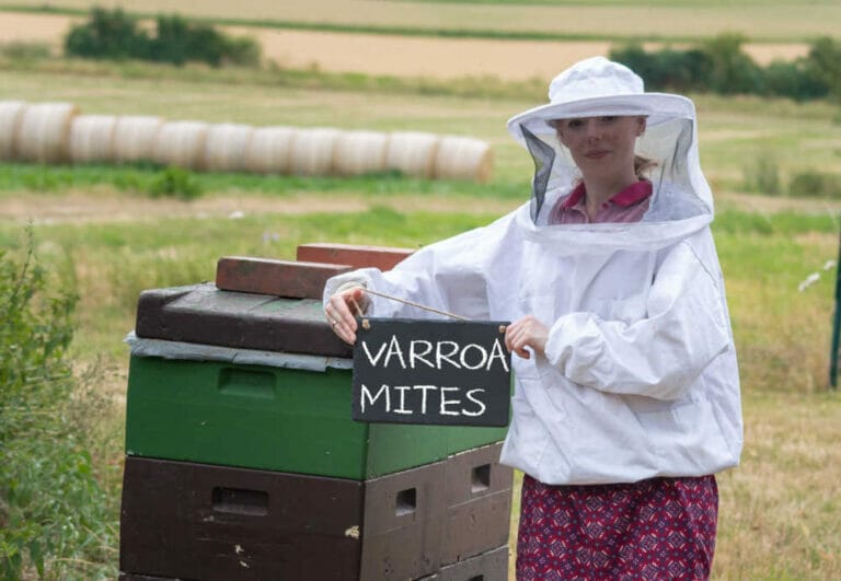How To Test For Varroa Mites [3 Ways]