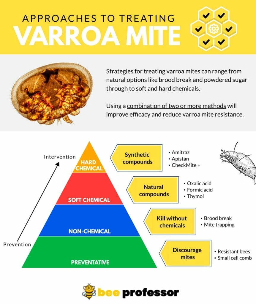 An infographic of the four approaches to treating varroa mites