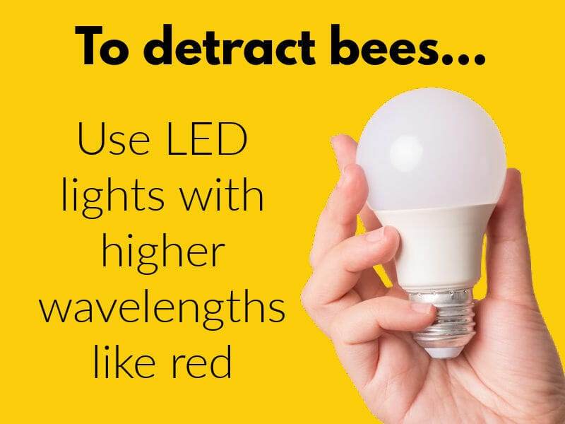 Graphic of a hand holding a lightbulb and advice on using high wavelength light to detract bees