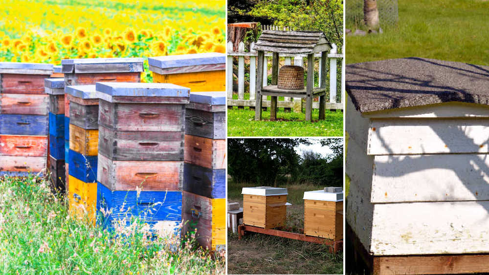 Various types of beehives in a collage