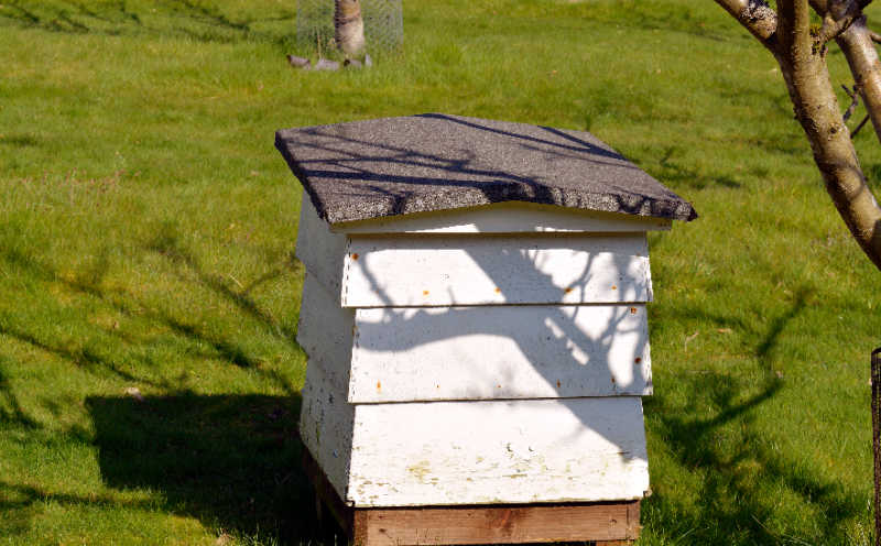 A WBC hive in a meadow