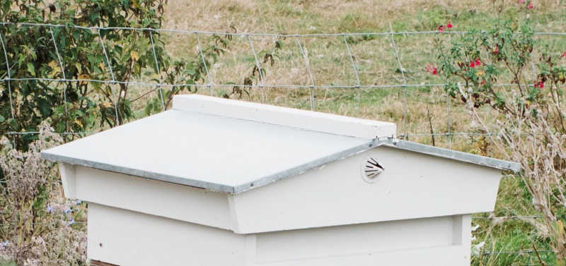 A white pitched roof of a Warre hive