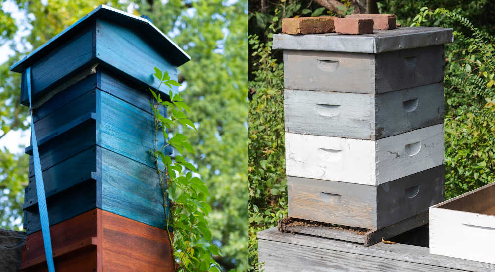 A Warre hive and Langstroth hive next to each other