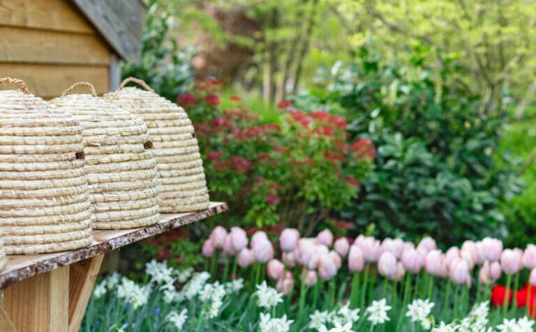 What Is A Bee Skep? A Complete Guide