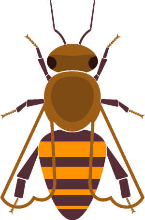 Illustration of Buckfast bee