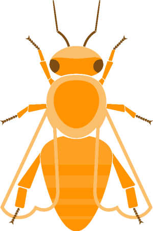 Illustration of Cordovan bee