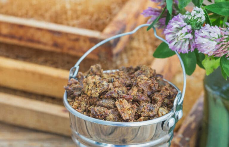 How To Harvest Propolis – A Beekeeper’s Guide