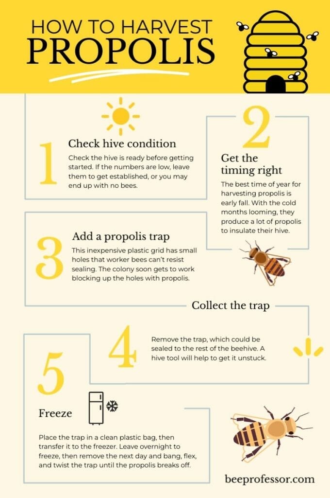 An infographic explaining the steps to get propolis from the hive.