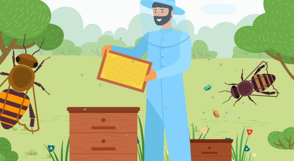 An illustration of a beekeeper next to hives and various bee breeds.