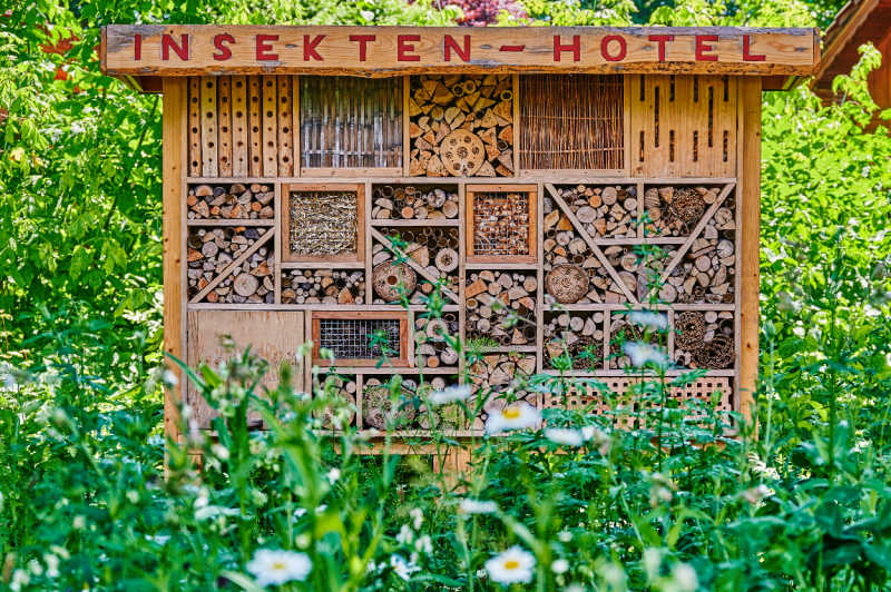 A large man-made hotel for mason bees and other insects