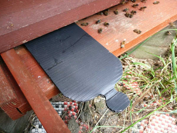 A piece of corrugated cardboard slid under the bottom of a hive to test for pests.