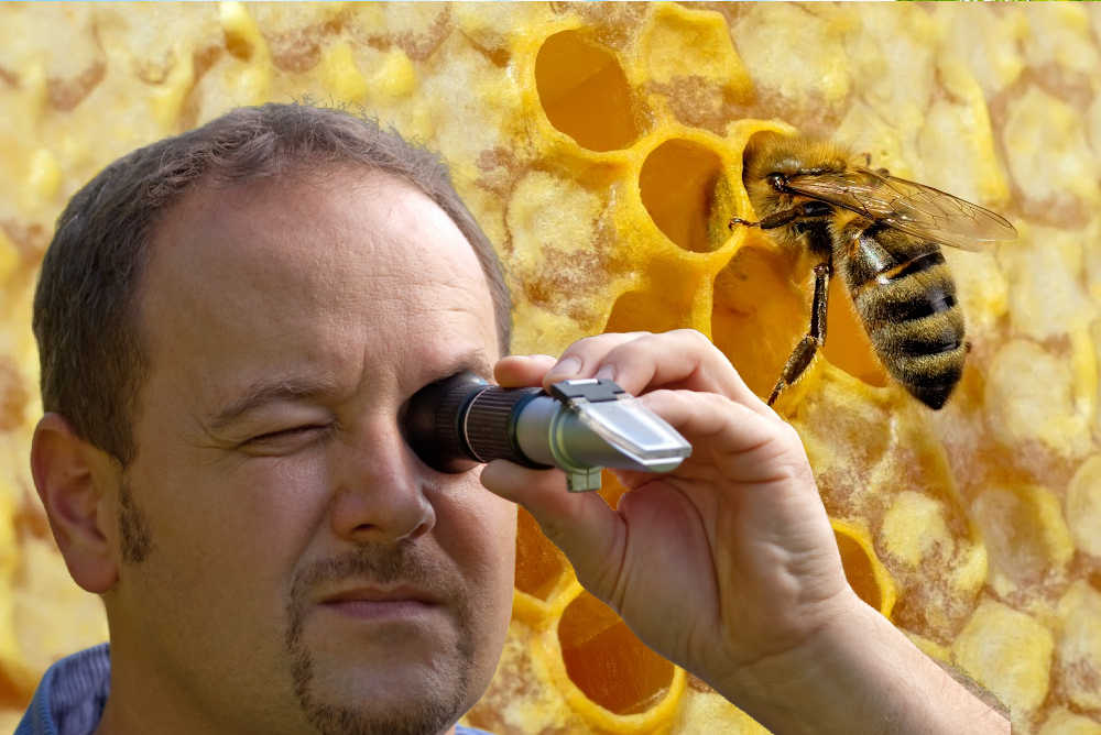 A beekeeper using a honey refractometer with honeycomb in the background