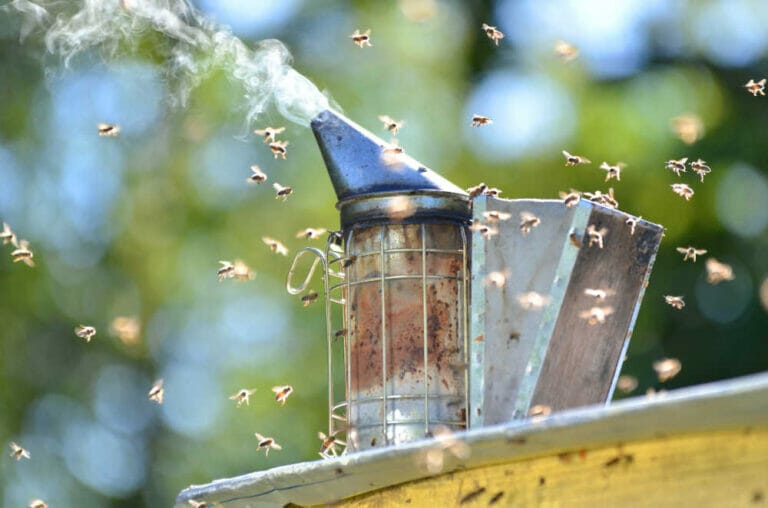 7 Best Bee Smokers For Beekeepers In 2024