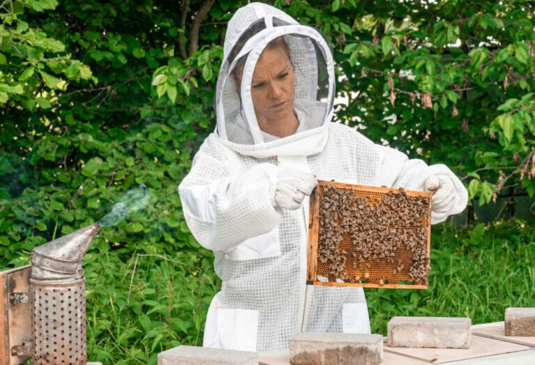 What Is A Beekeeping Suit? The Ultimate Beginner’s Guide