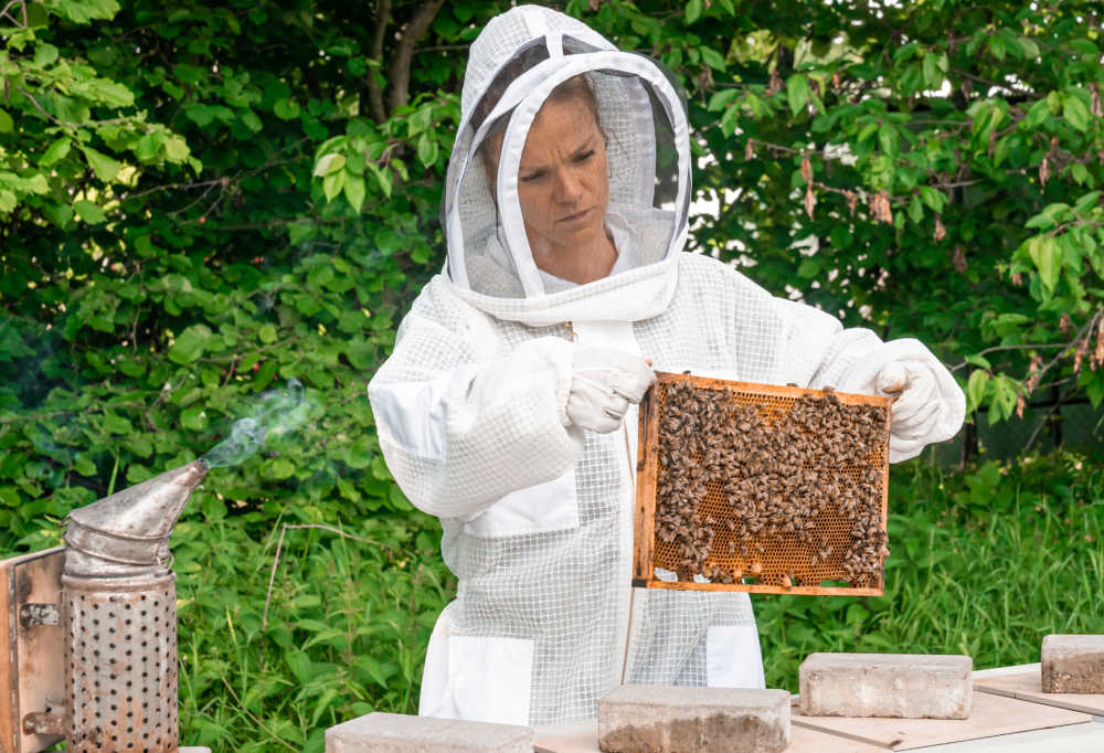 A woman wearing a beekeeping suit looking at a frame