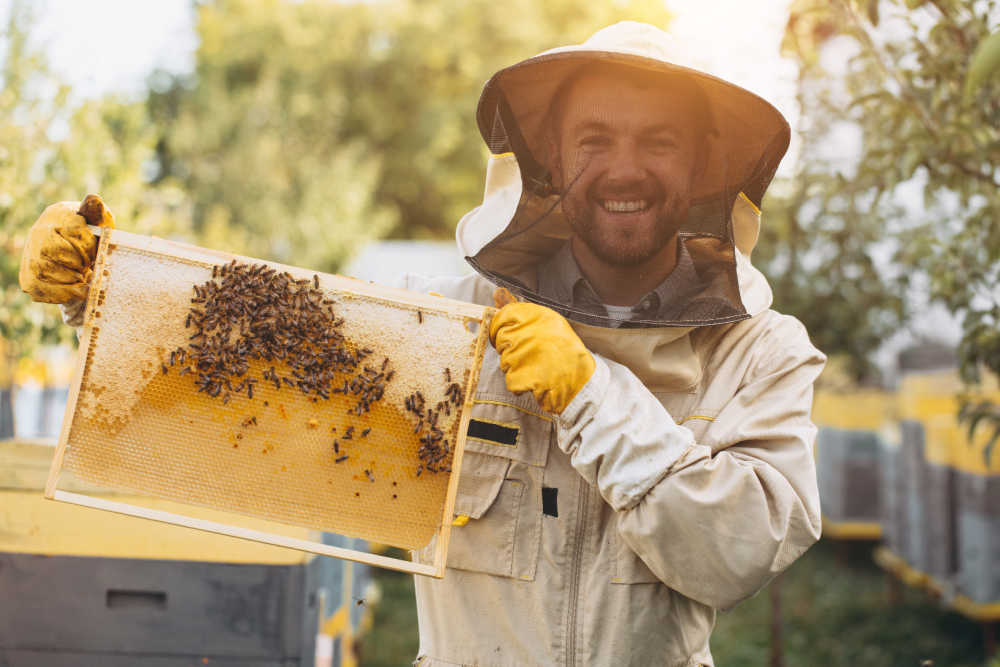 A smiling beekeeper holding a frame with hives behind him