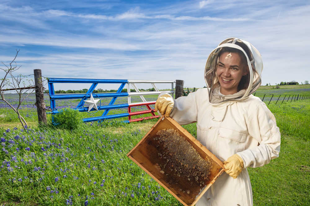 From Bee-burners to Beekeepers: Supporting Community Beekeeping