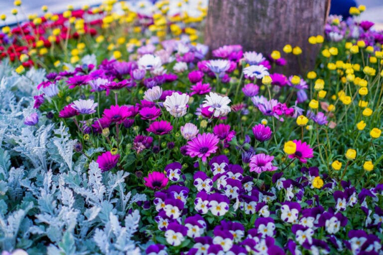 37 Best Drought-Resistant Plants For Bee Gardens