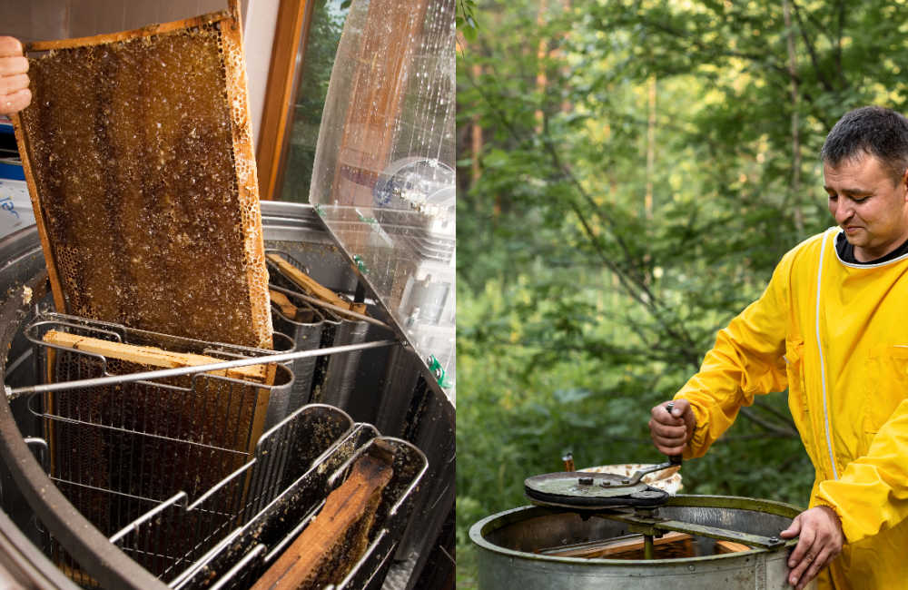 Electric and manual honey extractors side-by-side