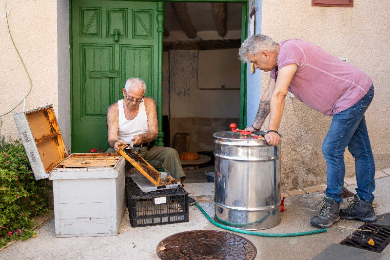 An elderly man uncapping a frame while another man leans on a manual honey extractor and watches