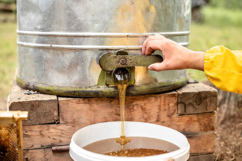 A large bucket getting filed with fresh honey