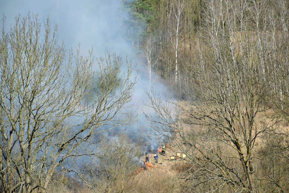 Firefighters trying to put out a wildfire that is close to beehives