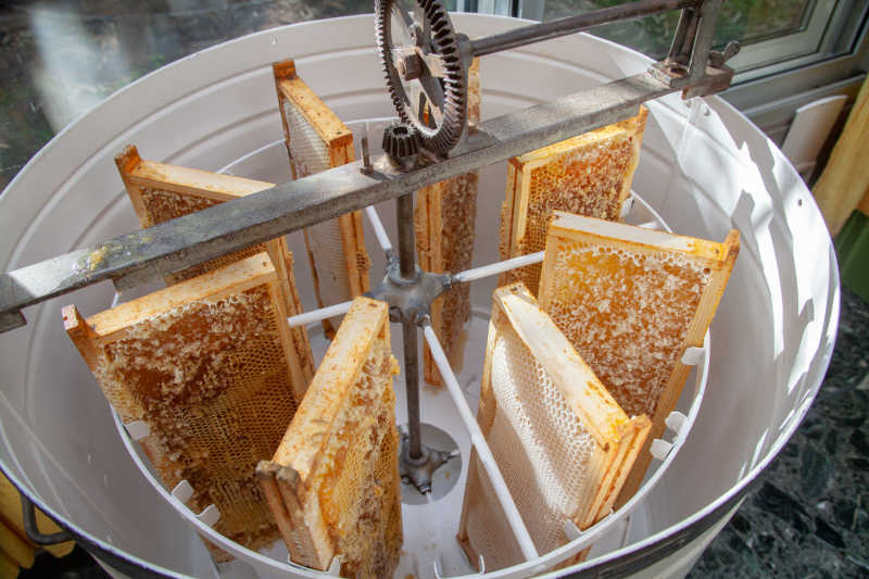 A top down photo of a radial extractor holding eight frames of uncapped honeycomb